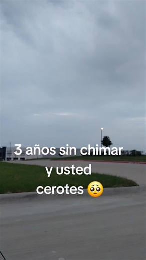 chub 🫡 🤷‍♂️ (@chub.chub39)’s video of chimera