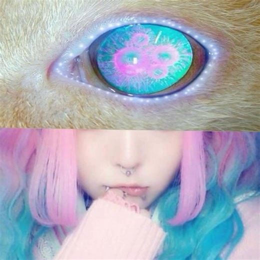 Pastel Goth Fashion Trends: A Comprehensive Guide