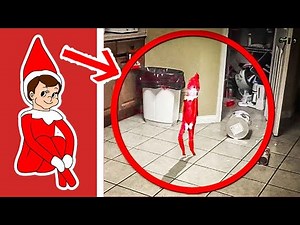 7 Elfos Captados en Cámara en la VIDA REAL