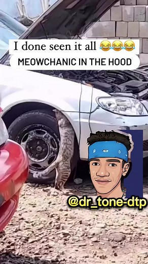 Car Troubleshooting: Radio and Air Conditioner Not Working