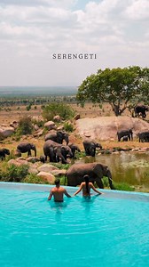 Nestled in the heart of Serengeti National Park, Four Seasons Safari Lodge offers a perfect blend of untamed wilderness and refined luxury. Wake up to breathtaking views of the savannah, witness the Great Migration from your private terrace, and unwind in a world-class retreat that brings you closer to nature without compromising comfort. #Serengeti #FourSeasonsLodge #SafariLuxury #TanzaniaTravel #WildlifeExperience #GreatMigration #AfricanSafari #TravelAfrica #LuxurySafari #NatureMeetsLuxury | 