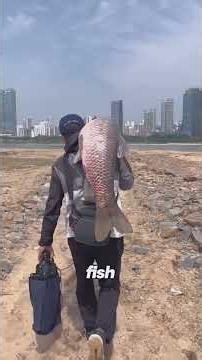 🐟 Fish Farming Secrets You Need to Know