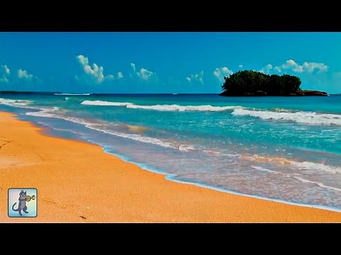 Wonderful Tropical Beach ~ Amazing Nature Scenery & The Best Relax Music
