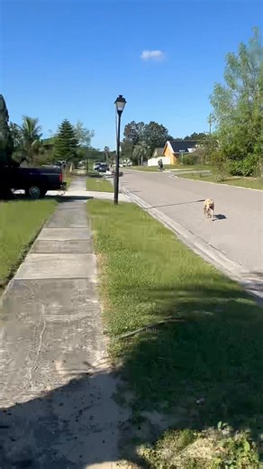 Donald Anderson😅 Definitely my dude | OG Shaka