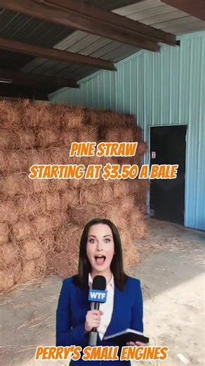 Pine straw is here! 🍂 • $4.00 per bale (1–25 bales) • $3.75 per bale (25–99 bales) • $3.50 per bale (100  bales) Come get yours—they’re going fast