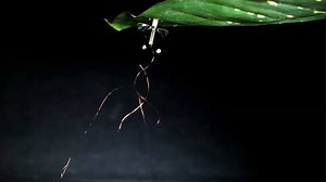 81K views · 680 shares | What's a drone on a mission to do when it...