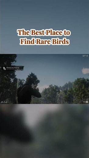 The BEST location for rare birds in RDR2! 🦅✨#reddeadredemption2 #rdr2tips #gamingtutorial #gaming