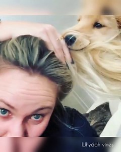 Dog and  Women compilations Part-1 2020