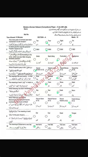 Peshawar board class 10 Mutala-e-Quran Hakeem paper mcqs #boardexam #subscribe