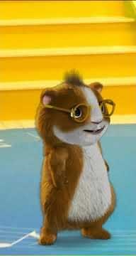 PBS Kids Hooper Says: Dash's Game Of The Day (2008-2009)