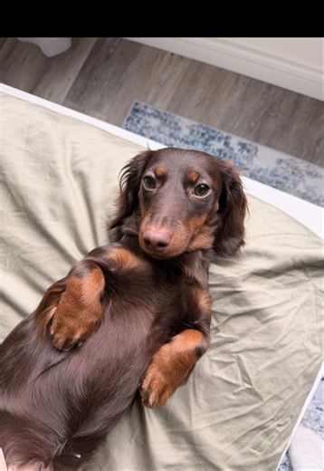 Little, but monsters!