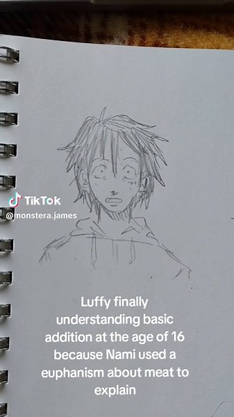 Mutant Turtle Adventures and One Piece Fanart