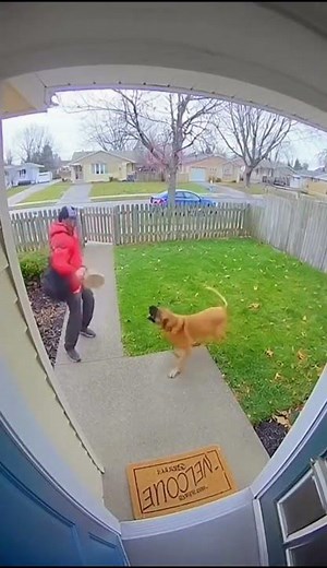 CCTV: Mailman Runs From Dog in Open Yard 🐕📦