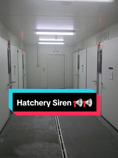 Understanding Hatchery Operations and Temperature Management