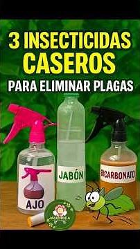 🚫🐛 3 Homemade Insecticides to Eliminate Pests Quickly and Easily👩‍🌾