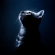 В. М. - на Мой Мир@Mail.ru