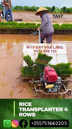 Mashine ya kisasa ya kupanda Mpunga/Rice transplanter machine 4rows ,1acres for 2 hours -Kilimo cha mpunga _ekari 1 kwa saa 2 RICE /PADDY TRANSPLANTER/TRANSPLANTING MACHINE _Motor driven Rice/paddy transplanter Machine 1.Ukubwa 110cm x 140cm x 45 cm 2.Mashine inauwezo wa kupanda akari 1 Kwa saa 1(planting area 1 acres per hour ) ,6 rows ,row to row 20cm ,(Mistari 6 , umbali kati ya mstari mmoja na mwingi 20cm ) 3.Ukubwa wa injini (Engine size ) GX-35 4.Matumizi ya Mafuta (Fuel consumption ) 0.5 