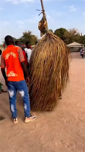 Diola people, found in the Casamance region of Senegal, Guinea-Bissau and in The Gambia, West Africa. 🎥 @quimfabregas Follow us @africanvibes for more. Visit africanvibes.com to learn more about Africa. . . . . . . . . . . #africanculture #africantradition #Himba #Namibia #africa #africanceremonies #travelphotography #blackhistory #africanhistory #travel #portrait #AFRICAUNITE #allhuman #loveafrica #visitafrica #yourshotphotographer #nature #fineartphotography #travelgram #culture #beafrica #be