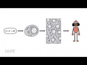 HMX Biochemistry - Course Preview