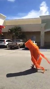 14K views · 20 reactions | For who is this the perfect job?!  | For Fun | Facebook