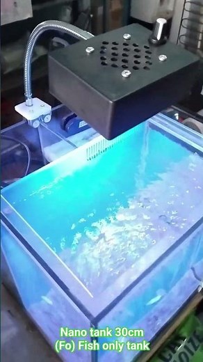 mini aquarium laut, nano reef tank mini, mini coral leaf Nemo ClownFish hybrid