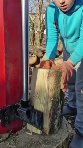 Best Log Splitter Firewood Processing #woodworking