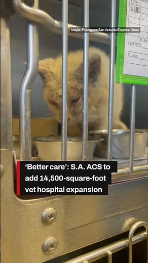 'Better care': S.A. ACS to add 14,500-square-foot vet hospital to cut euthanasia, expand treatment