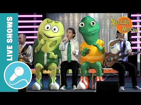Atención Atención ¿Que pasa con la música? En Vivo - FULL CONCERT