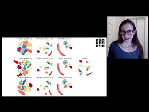 PaCMAP: An algorithm for dimension reduction