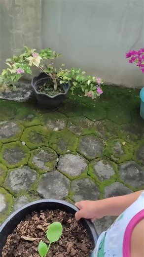 🍆🍆🍆🍆 EggPlantEr😁😁😁 | Mitylene Lagdamen Tanggoyoc