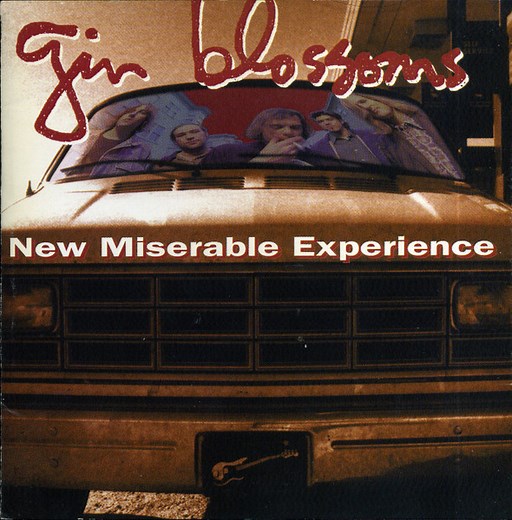 Gin Blossoms - New Miserable Experience