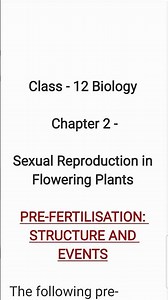 What are pre fertilization events? Class 12 Biology Chapter 2