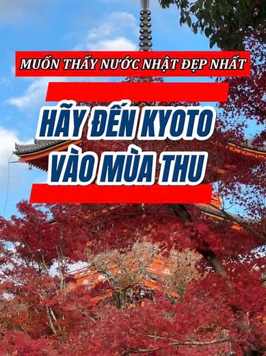 Khám Phá Kyoto Vào Mùa Thu: Vẻ Đẹp Nhật Bản