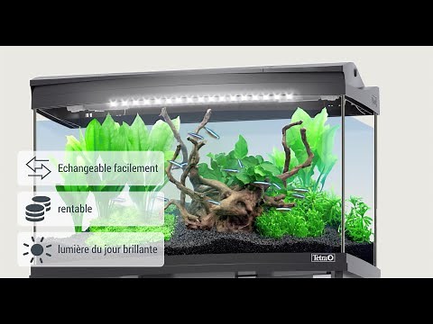 Tetra Lightwave - Eclairage LED pour aquarium