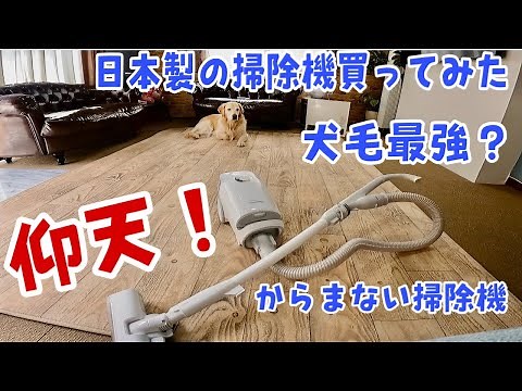 日本製の掃除機買ってみたらびっくり！犬毛問題解決 ゴールデンレトリバー