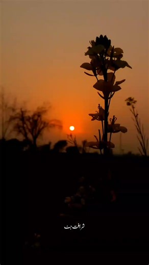 Mansoor Ali Malangi's Heartfelt Journey