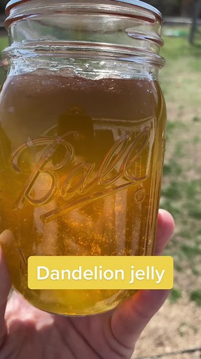How to Make Dandelion Jelly: A Step-by-Step Guide