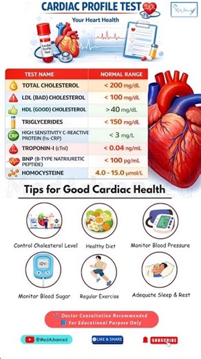 Cardiac Profile Test | Key Blood Tests for Heart Health