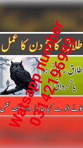 Watsapp number 03142196989 | aaqq