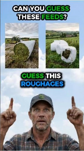 Haylage vs Baleage & More — 3 Roughage Words You've Been Mixing Up! (Don't Starve Your Herd)