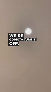Disposal of a rodent | The RedDot