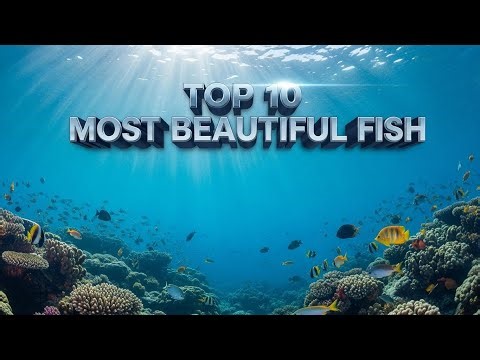 Top 10 Most Beautiful Fish in the World #AquariumFish ##BeautifulFish