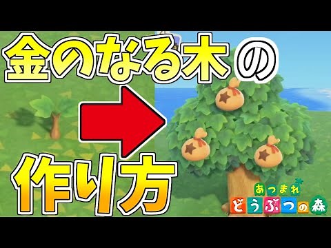 I found a way to make a money tree with almost 100% success rate!! [Animal Crossing: New Horizons...