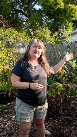The Secret to PROTECTING a Tropical Food Forest? Design! #growyourownfood