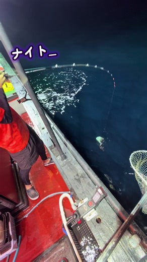 ナイト💡タイラバ便🚢ありがとうございました🙇‍♀️ #佑美丸 #貸切遊漁船 #タイラバ #真鯛