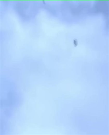 #picionicolioni #romm #pigeon_lovers0 #dunek#viral