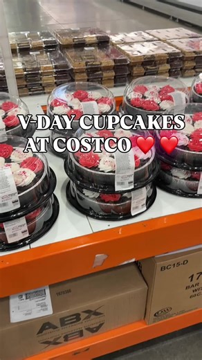 Delicious Chocolate Cupcakes at Costco