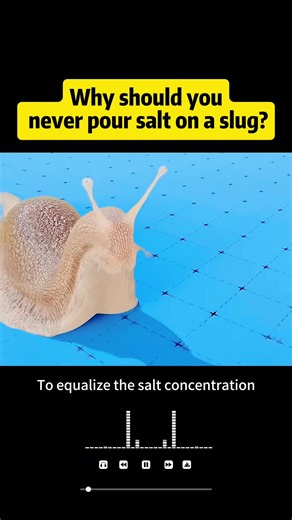 The Dangers of Pouring Salt on Slugs