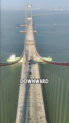 How Cable Stayed Bridges Actually Support Heavy Loads