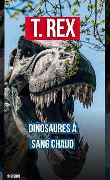 Des chercheurs américains ont enfin trouvé la température du T. rex